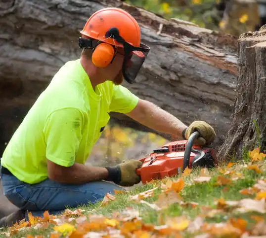 tree services Great Bend